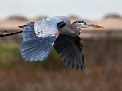 william foley EysCLgycVgc unsplashcrop